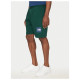 The North Face Ανδρικό σορτς Box NSE Regular Shorts